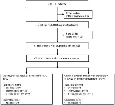 Hormonal therapy is effective and safe for cryptorchidism caused by idiopathic hypogonadotropic hypogonadism in adult males